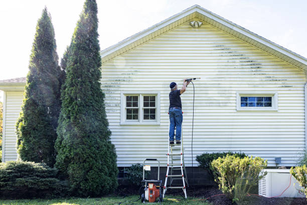 Best Driveway Pressure Washing  in Pea Ridge, WV